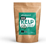 Allnature Kelp organic powder 100g 1×100g