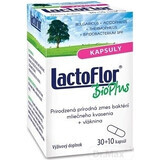 LactoFlor BioPlus 1×40 cps, Nahrungsergänzungsmittel