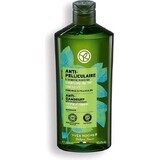 Shampooing antipelliculaire Yves Rocher 1×300 ml, shampooing antipelliculaire