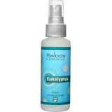 SALOOS Désodorisant Eucalyptus 1×50 ml arôme Eucalyptus Vaporisateur d'air