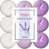 BOLSIUS Sensilight LAVENDER bougies chauffe-plat Sensilight LAVENDER 1×9 pcs, tricolore