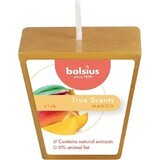 Bolsius Aromatic 2.0 Votive Mango, bougie parfumée 1×1 pc, taille 48 mm