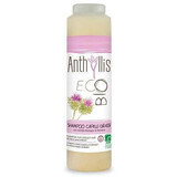 Shampooing Eco Organic pour cheveux gras à la bardane et au romarin, 250 ml, Anthyllis