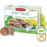 THEREZIA SHII-TAKE + RHODIOLA ROSEA 1×60 cps, complément alimentaire