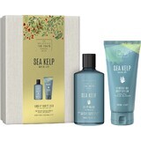 Coffret de soins corporels Scottish Fine Soaps - algues 1×1set