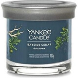 Yankee Candle Signature petite bougie Bayside Cedar 1×122 g Bayside Cedar 1×122 g, bougie parfumée