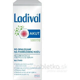 LADIVAL Akut Face Serum 1×50 ml, after sunbathing face serum