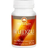 Pharma Activ Kudzu 1×60 cps, complément alimentaire