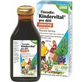 SALUS Floradix Floradix Kindervital fruité 1×250 ml, sirop à base de plantes