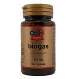 Biogas 250 mg, 60 Kapseln, Obire