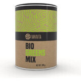 GYMBEAM VANAVITA VANAVITA BIO GREENS MIX 1×300g, green superfood mix