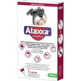 Ataxxa 1250 mg/250 mg (chiens de 10 kg à 25 kg) 1×2,5 ml, solution pour chiens