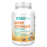 Now Foods Berry Berry Dophilus Kids, 120 comprimés à croquer