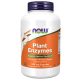 Now Foods Plant Enzyme, plant enzymes, 240 capsules