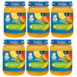 Set da dessert Gerber, frutta tropicale con tapioca, dopo 6 mesi, 6 x 190 g