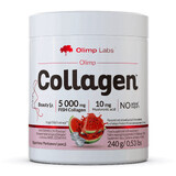 Collagen Olimp, melon flavored, 240 g