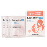 Lactofem Forte, saveur classique, 10 sachets + 4 sachets gratuits