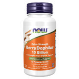 Now Foods Berry Dophilus, 50 comprimés à croquer