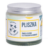 Four Spikes Pliszka, soy candle with citrus, 120 g