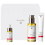 Dr. Hauschka Beautiful body set, moisturizing hand cream, 50 ml + body care oil, 75 ml + nail oil, 18 ml