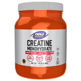 Now Sports Créatine monohydrate, poudre, 1 kg