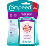 Cerotto per ferite Compeed 1,5 cm x 1,5 cm, 15 pz.