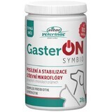 Vitar Veterinae GasterON SYMBIO vasetto 28 g