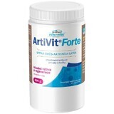 Vitar Veterinae Artivit Forte miscela in polvere 600 g