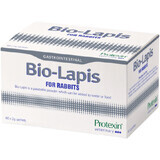 Protexin Veterinary Bio-Lapis per conigli in buste 60 x 2 g