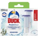 Duck Fresh Discs Toiletpot Navulschijven Eucalyptus 2 x 36 ml