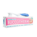 Kit brosse à dents + dentifrice bio Premières dents à la camomille et à la guimauve, 0-2 ans, Buccothem