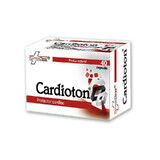 Cardioton, 40 gélules, FarmaClass