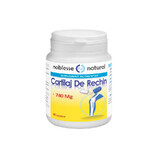 Cartilagine di squalo 740 mg, 90 capsule, Noblesse