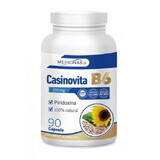 Casinovita B6, 90 gélules, Medicinas