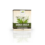 Ceai de Brânca ursului, 50 g, Dorel Plant