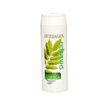 Shampoo mit Brennnesselextrakt, 250 ml, Herbagen