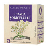 Thé à la queue de souris, 50g, Plante de Dacia