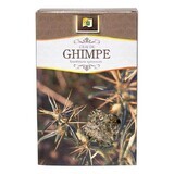 Ceai de ghimpe, 50 g, Stef Mar