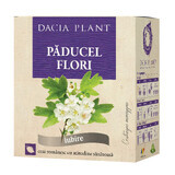 Tè ai fiori di biancospino, 50g, pianta di Dacia