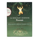 Prostata Tee, 165g, Aroma Pflanze