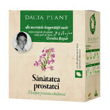 Tisane Santé de la prostate, 50 g, Dacia Plant