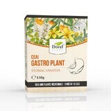 Gastro-Pflanze Gesunder Magen-Tee, 150 g, Dorel Plant