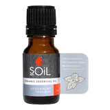 Huile essentielle de menthe créée Pure 100% Bio ECOCERT, 10 ml, Sol.
