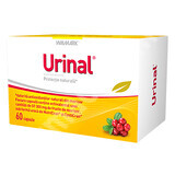 Idelyn Urinal, 60 gélules, Walmark
