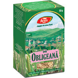 Ceai Obligeană rădăcină, D46, 50 g, Fares