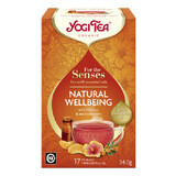 Bien-être naturel Pour les sens thé biologique aux huiles essentielles, 17 sachets, Yogi Tea