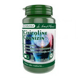 Citicolin Cognizin 270mg, 60 Kapseln, Pro Natura