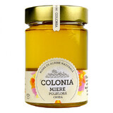 Miel de ploriandre brut de Cologne, 420 g, Evicom Honey