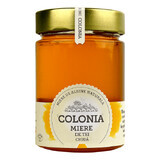 Miel de thé brut de Cologne, 420 g, Evicom Honey