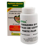 Coenzyme Q10 dans l'huile d'argousier Forte Plus 60mg, 40 gélules, Hofigal